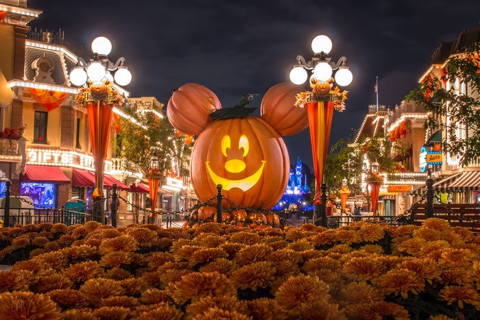 Disneyland Halloween Pumpkin Mickey Mouse 4K