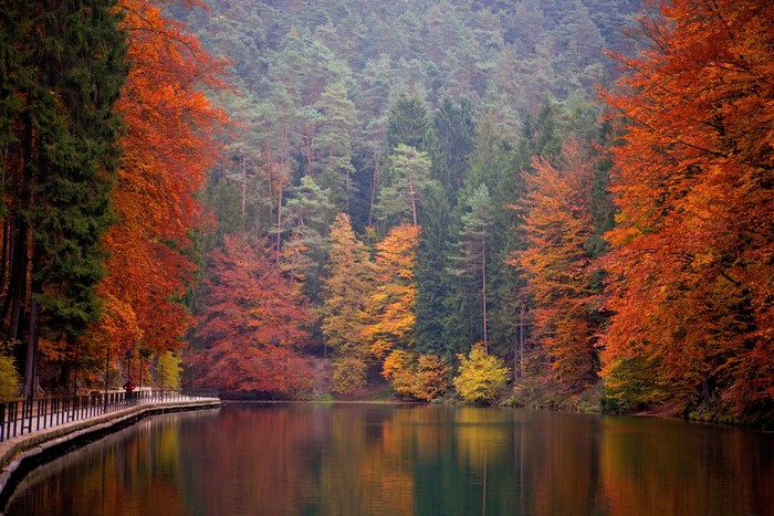 Autumn Lake at Saxon Switzerland National Park, Germany