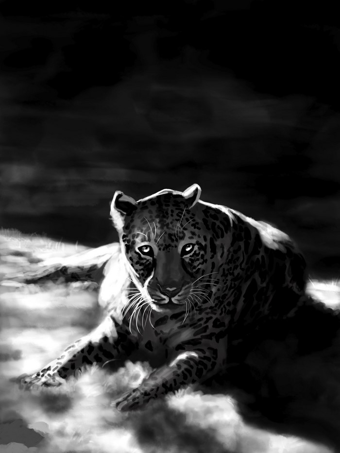 Black and white painting of a leopard