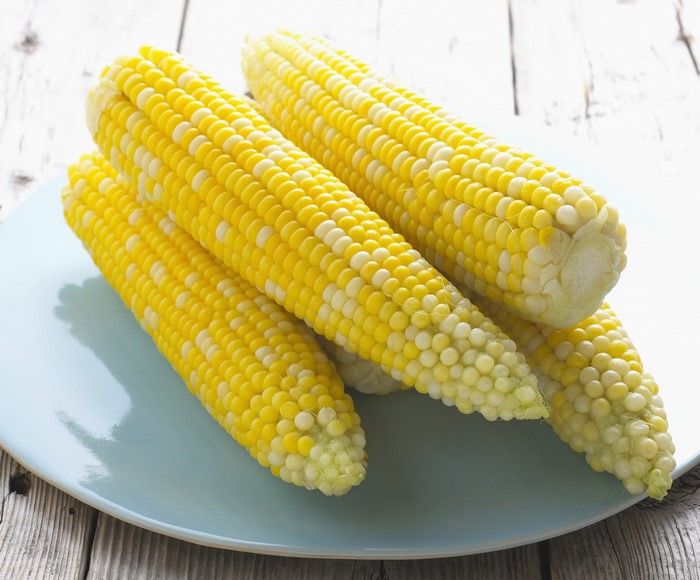 Corn on a blue plate