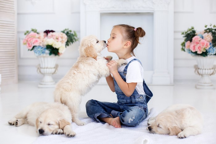 Girl kissing a puppy with other puppies