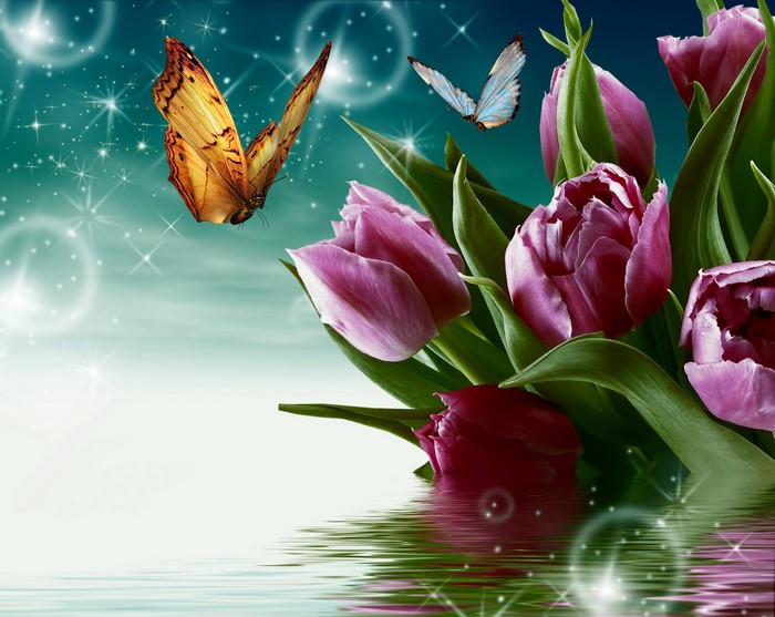 Pink Tulips and Butterflies with Water Reflection