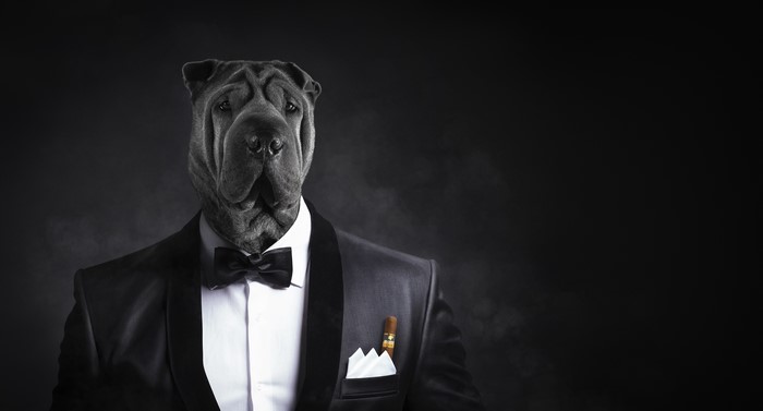 Shar Pei dog in a tuxedo with a cigar