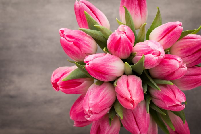 Pink Tulips Bouquet