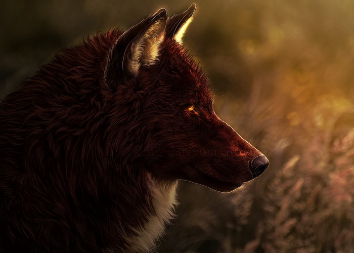 Painting of a wolf's head in profile