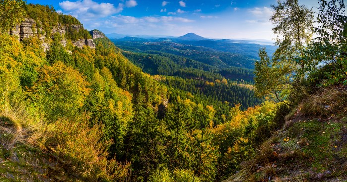 Autumn forest and rocky cliffs in Saxon Switzerland National Park