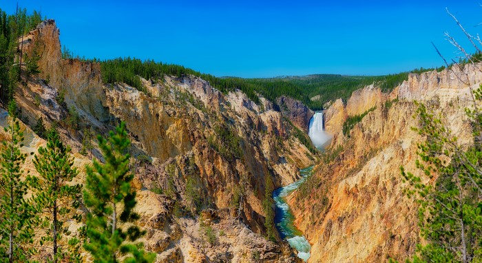 Yellowstone National Park Waterfall and Canyon