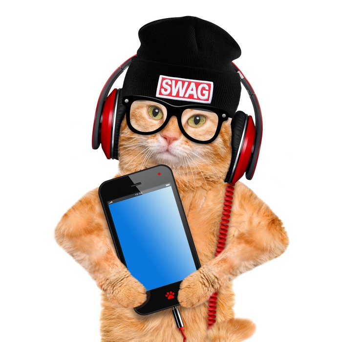 Ginger cat wearing headphones, glasses, and beanie holding a smartphone