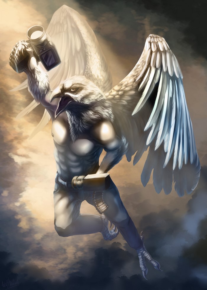 Bird-like creature with wings holding cameras