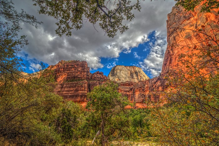 Zion National Park Mountains with Clouds and Branches