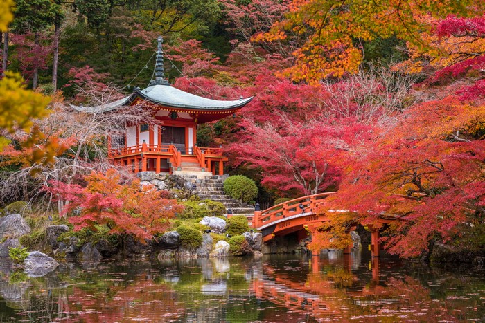 Japanese Pagoda and Bridge in Autumn