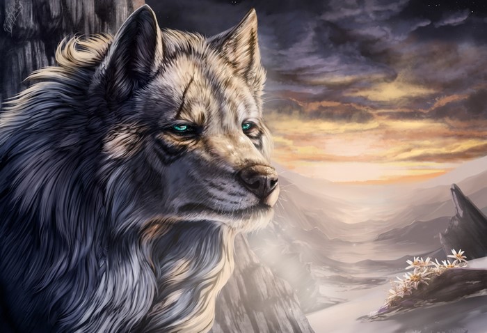 Wolf looking out over a mountain valley at sunset