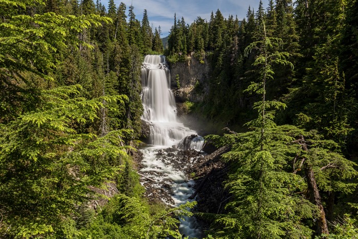 Alexander Falls Waterfall in Canadian Forest