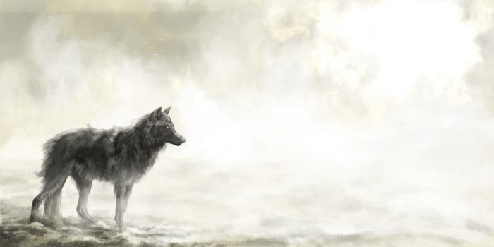Wolf in a misty landscape painting