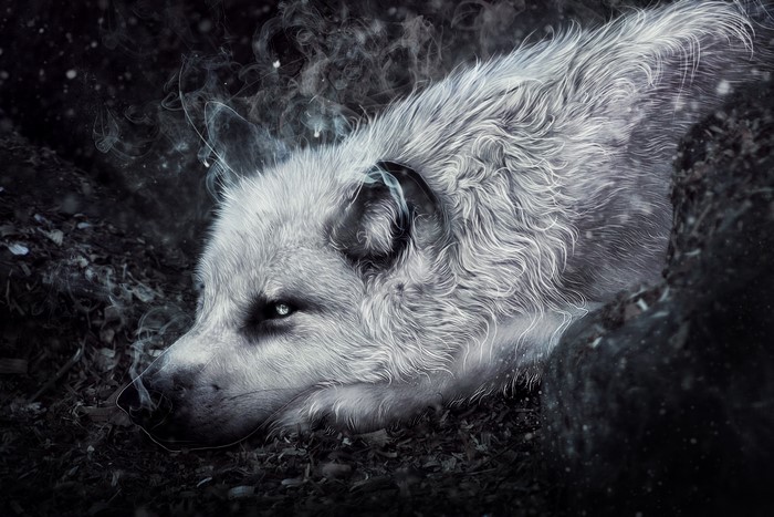4K Painting Art of a White Wolf