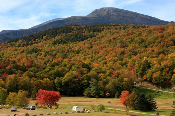 Autumn forest on a mountainside with a clear sky