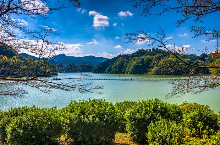 4K Lake Shorenji Nabari Japan Mountains Shrubs Branches
