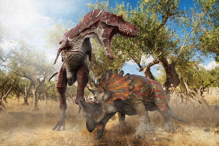 Albertosaurus vs Regaliceratops in a forest