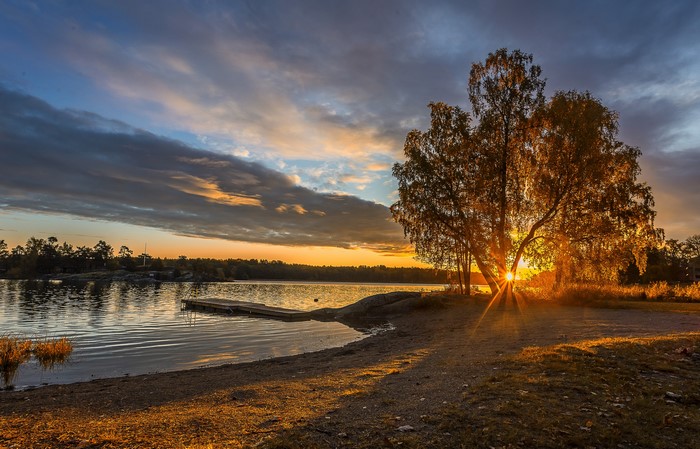 Sunset over a lake with a wooden pier and trees