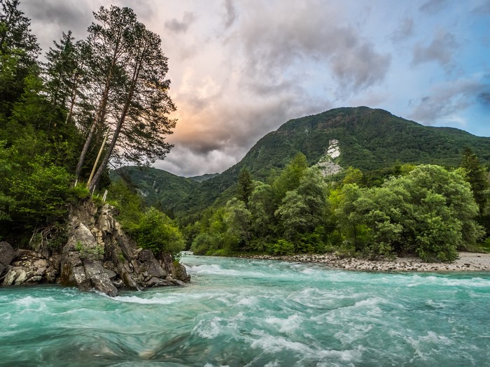 Turquoise river flowing through a mountainous forest in Slovenia