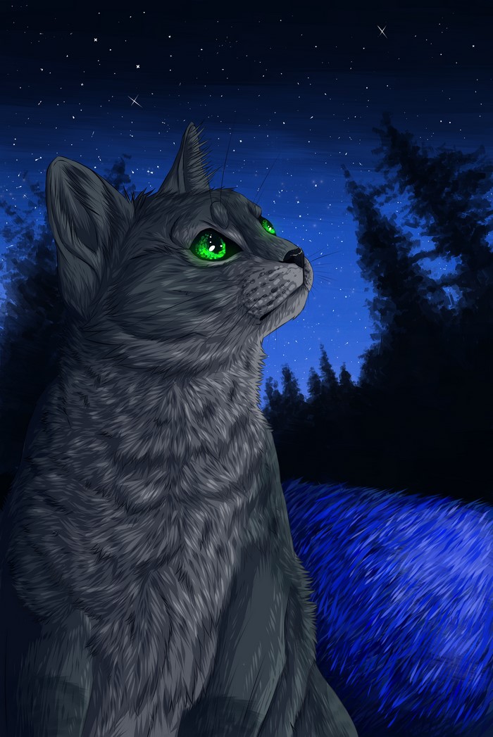 Cat looking at the starry night sky