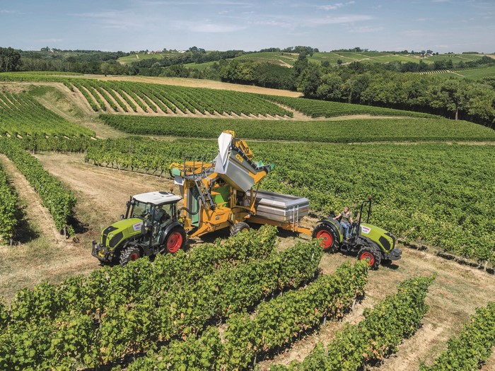 Tractors and grape harvester in a vineyard