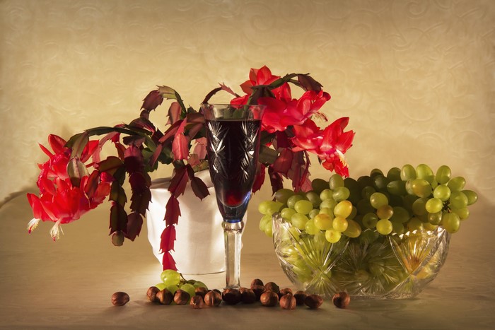 4K Still Life: Schlumbergera, Wine, Grapes, Nuts