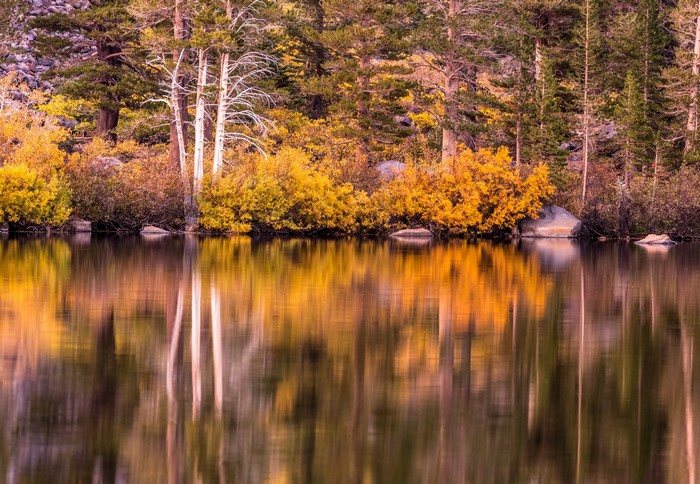 Autumn forest reflected in a lake in Mammoth Lakes, California