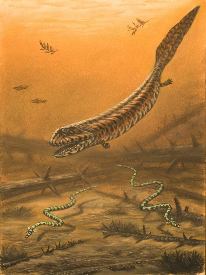 Crassigyrinus and Phlegethontia in ancient underwater environment