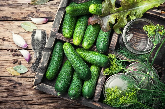 Cucumbers, Dill, Garlic, and Jars on Wood Planks
