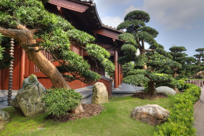 Nan Lian Garden with trees and rocks in Hong Kong