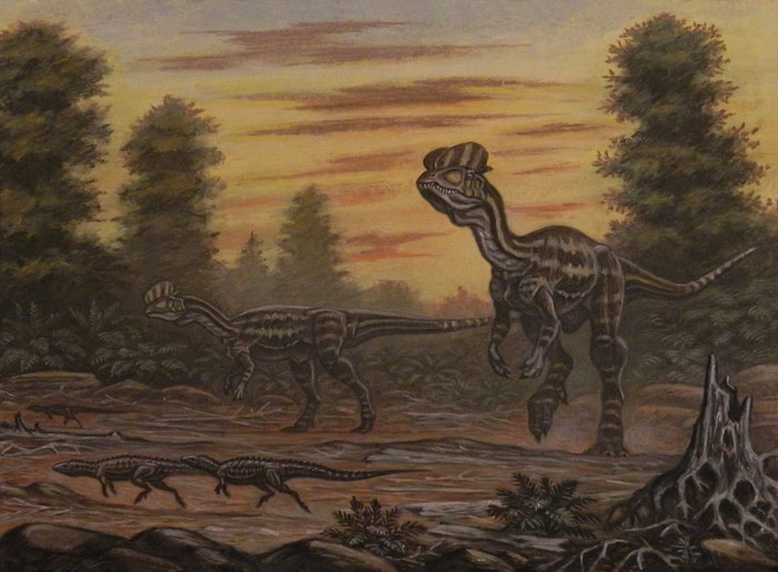 Dilophosaurus and Scutellosaurus dinosaurs in prehistoric landscape