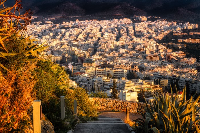 Athens, Greece cityscape at sunset with foreground plants