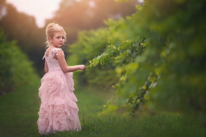 Little girl in a pink dress in a vineyard