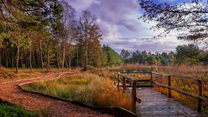 Autumn path and wooden bridge in Kirchwalsede, Germany