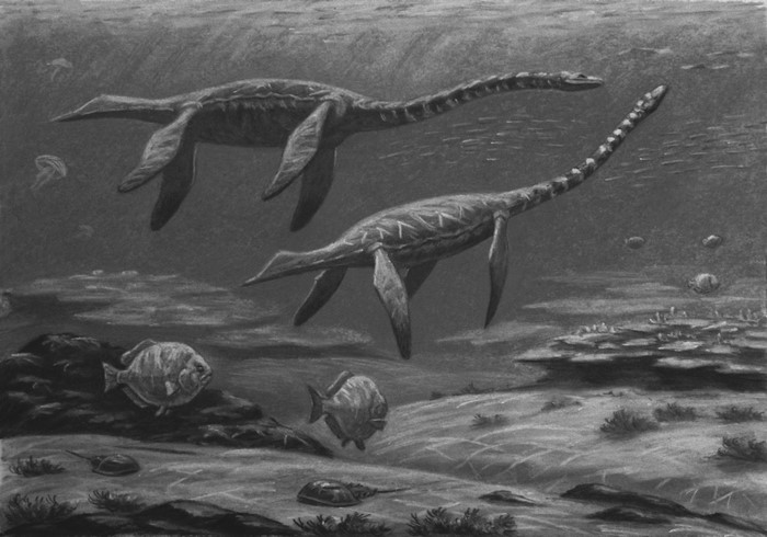 Two Plesiosaurus dolichodeirus swimming with Dapedium fish