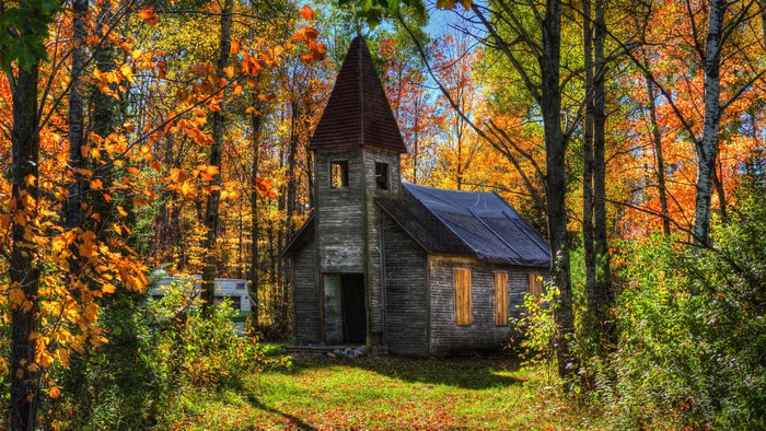 Abandoned church in autumn forest