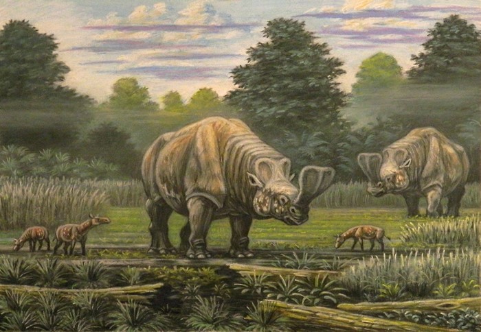 Embolotherium and Hyrachyus in prehistoric landscape