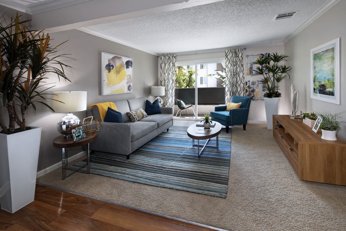 Living room with sofa and carpet