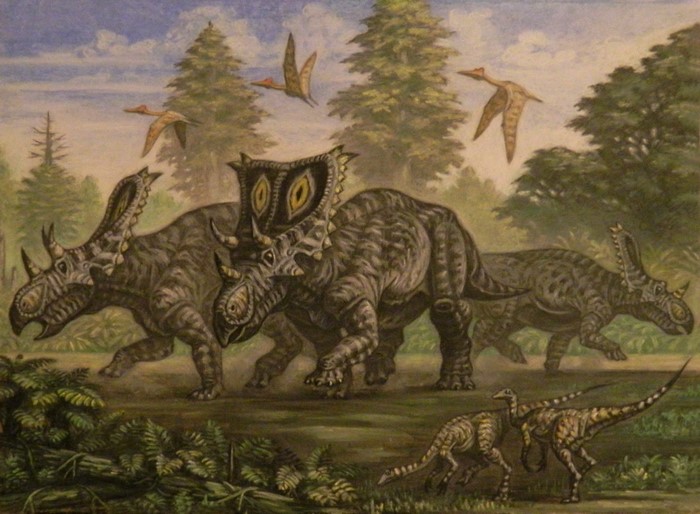 Chasmosaurus dinosaurs and Ornithomimus with pterosaurs in a prehistoric forest