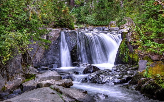 Waterfall cascading over rocks in a forest