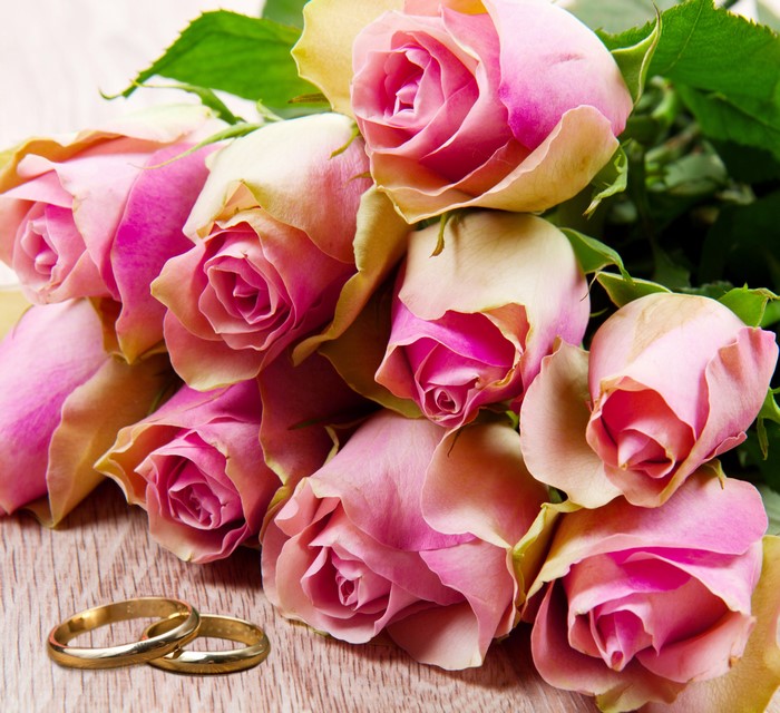 Pink Roses and Wedding Rings