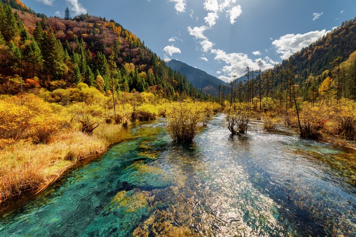 4K Jiuzhaigou Park River in Autumn, China