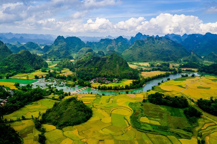 Rice fields and karst mountains in Cao Bang, Vietnam