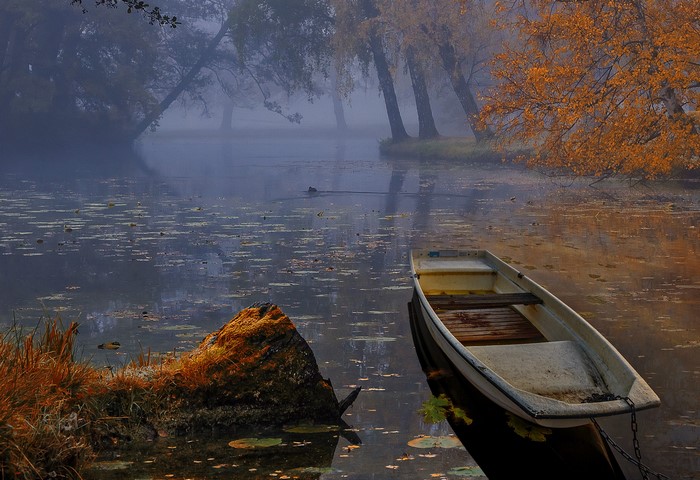 Boat on a foggy autumn lake with trees