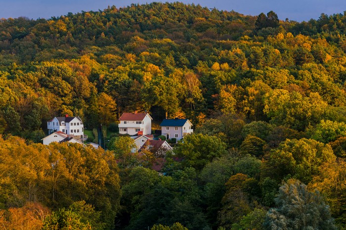 Autumn Houses in Gothenburg, Sweden