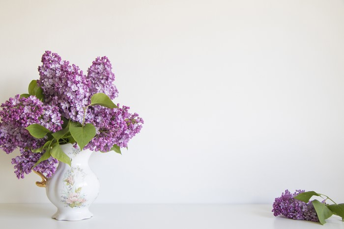 Lilac flowers in a vase
