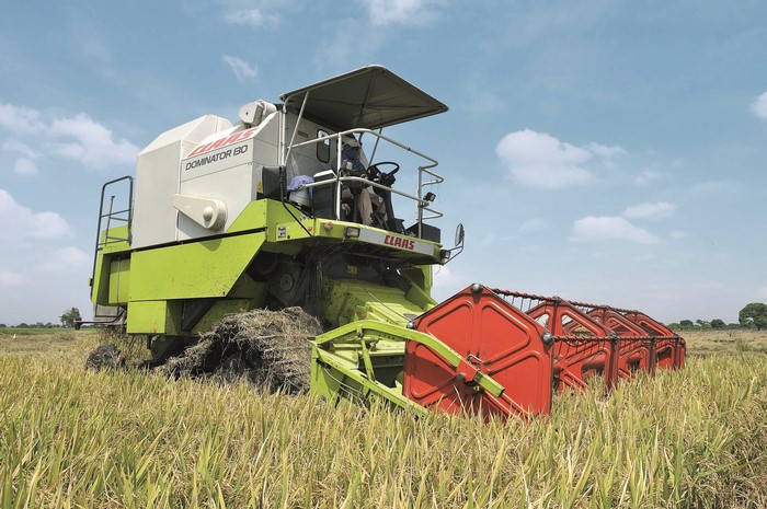 Claas Dominator 130 combine harvester in a field