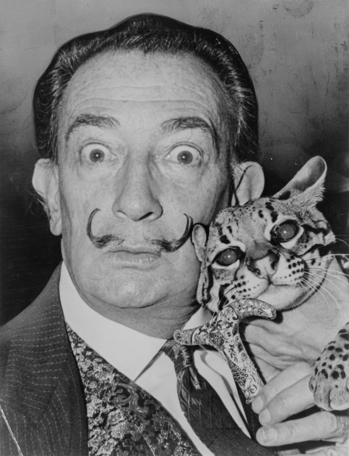Salvador Dali with an ocelot