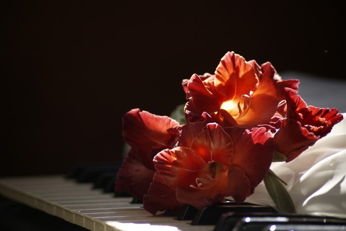 Red Gladioluses on a Piano
